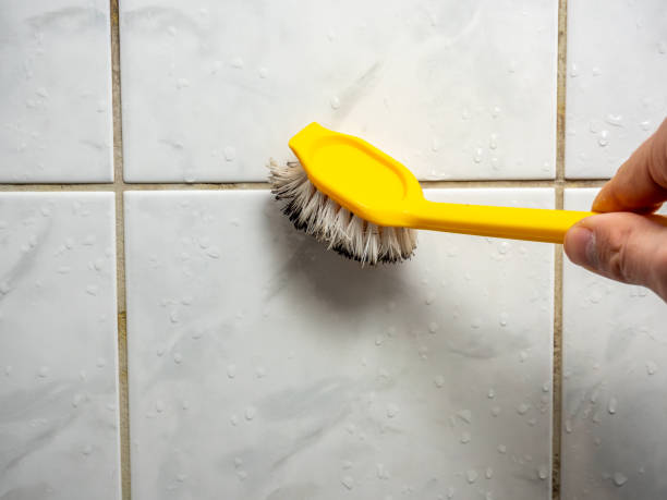 Best Emergency Mold Remediation in Marquette, MI