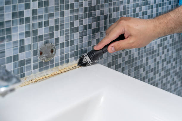 Best Mold Remediation for Schools in Marquette, MI