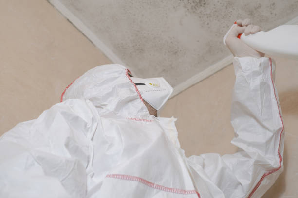 Best Industrial Mold Remediation in Marquette, MI